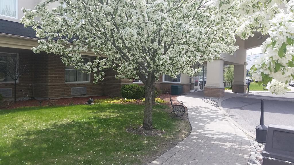 Days Inn By Wyndham Ottawa Airport Exterior foto